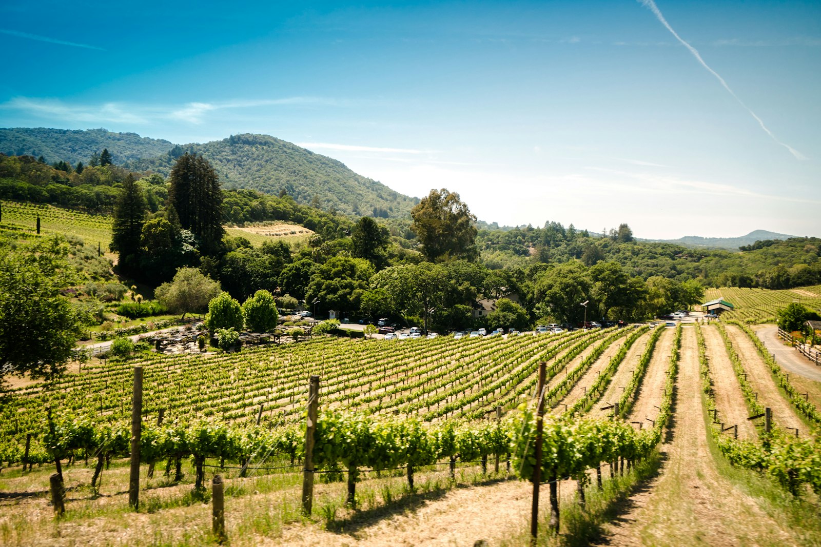Santa Ynez Wine Tours